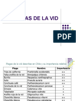 Plaga Vid PDF