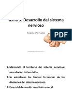 Tema 9. Desarrollo Del Sistema Nervioso PDF