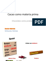 Cacao Materia Prima