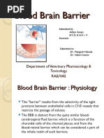 Blood Brain Barrier