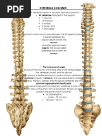 Vertebral Collumn