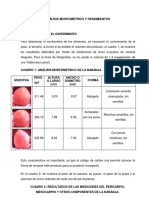 (370870009) Analisis Morfometrico y Rendimientos