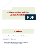 Cellular and Extracellular Calcium Metabolism