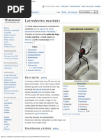 Latrodectus Mactans - Wikipedia, La Enciclopedia Libre PDF