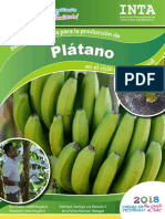 Recomendaciones Produccion - Platano