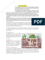 CICLO DEL NITRÓGENO, Fosforo, Hidrologico, Azufre, Cadenaalimenticia, Redestroficas