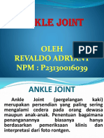 Ankle Joint