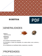 Rickettsia