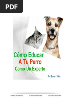 Cómo Entrenar A TU PERRO