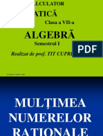 Algebra 7 Nrrationale