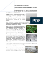 Especialidad de Climatología PDF