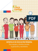 Rotafolio de Educacion Prenatal PDF