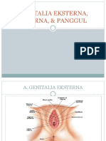 Genitalia Interna, Eksterna & Panggul (1) - 1