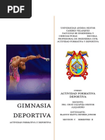 Gimnasia Deportiva (Blanco Mayta Deyber J.)