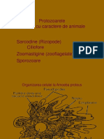 Protozoare