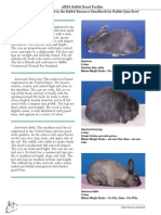 Rabbit Breed Profile