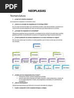 Neoplasia S