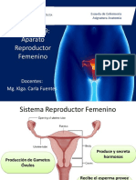 Clase 19 Reproductor Femenino