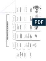 Cinco Reinos Diagrama