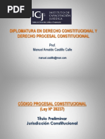 Codigo Procesal Constitucional-Titulo Preliminar