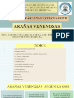 Arañas Venenosas