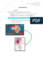 Freno Inhibitorio