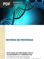 Sintesis Proteinas Mod