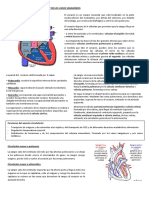 Esquema Anatomiadel Corazon