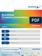 AkzoNobel Company Presentation - 2017