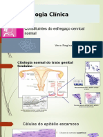 Citologia Clínica: Constituintes Do Esfregaço Cervical Normal