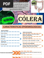 COLERA