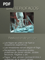 Fagos