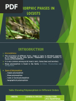 Polymorphic Phases in Locusts Antomonology Final Year