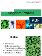 Lecture 3 - Protista