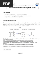 Biodiesel UCM Madrid