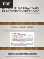 Difusion de O2 y Co2