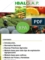 Curso Bpa Unalm