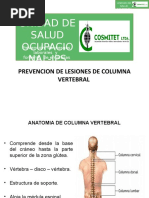 Diapositivas Lesiones de Columna Vertebral......