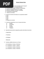 Examen Sistema Oseo Multiple Choice