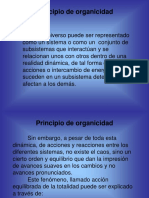 Principio de Organicidad - TGS