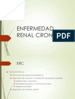 Enfermedad Renal Cronica