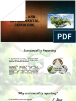 Social and Environmental Reporting