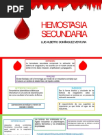 Hemostasia Secundaria