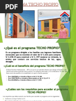 Techo Propio