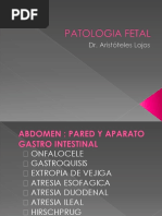 Patologia Fetal