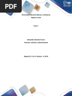 Tarea 1 - Vectores, Matrices y Determinantes.