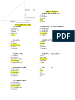 Analogias Dyuales