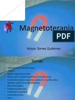 Magnetoterapia