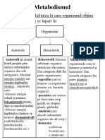 Metabolismul 