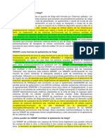 Estructura Del Aparato de Golgi